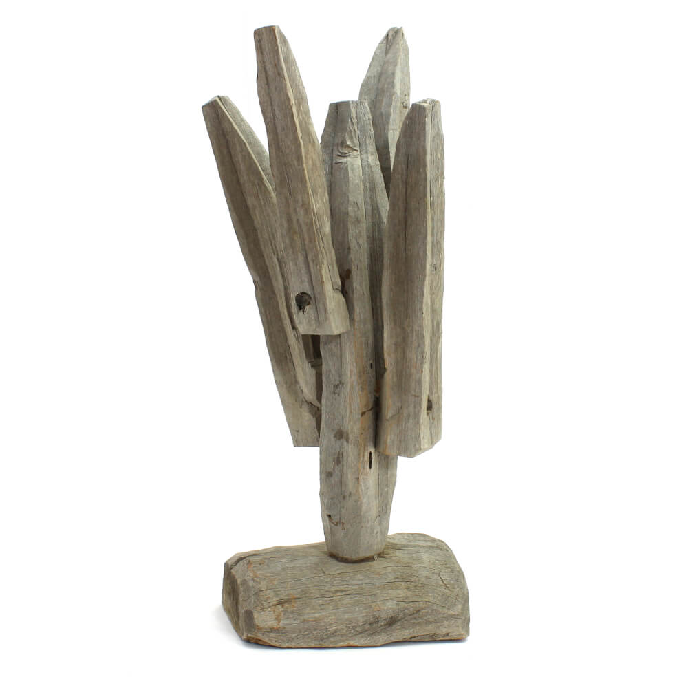Escultura de Cactus em madeira P Escultura de Cactus em madeira P